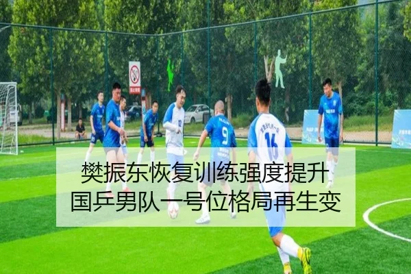 樊振东恢复训练强度提升 国乒男队一号位格局再生变