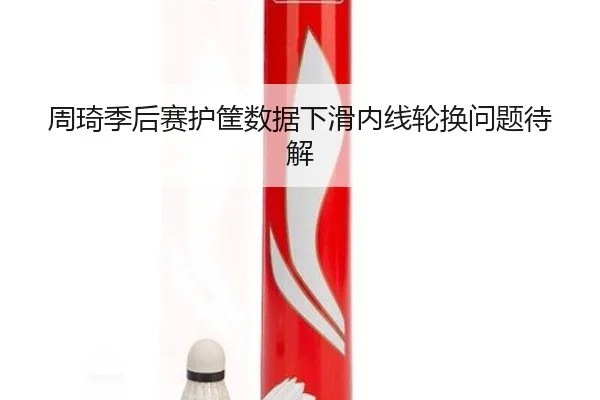 周琦季后赛护筐数据下滑内线轮换问题待解
